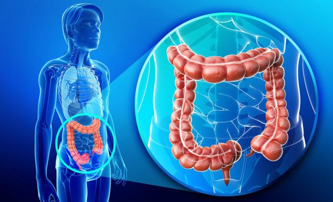 Hemoroid: Nedenleri, Belirtileri ve Etkili Tedavi Yöntemleri